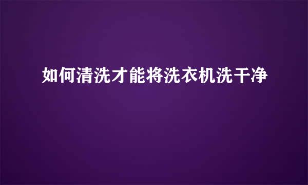 如何清洗才能将洗衣机洗干净