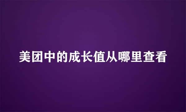美团中的成长值从哪里查看