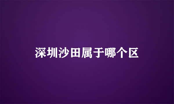 深圳沙田属于哪个区