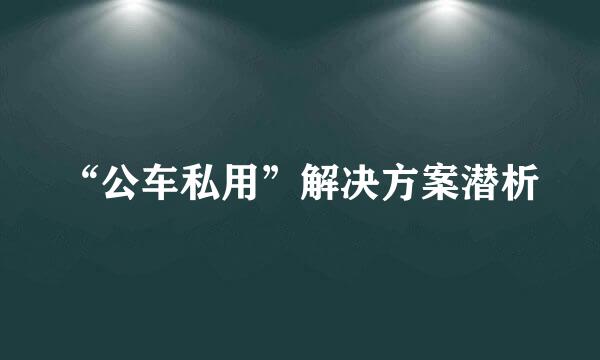 “公车私用”解决方案潜析