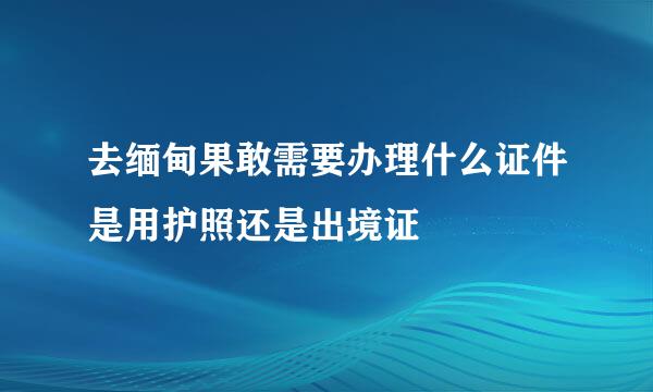 去缅甸果敢需要办理什么证件是用护照还是出境证