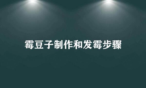 霉豆子制作和发霉步骤