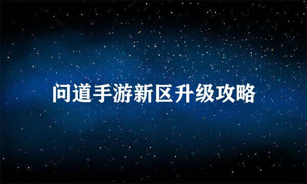 问道手游新区升级攻略