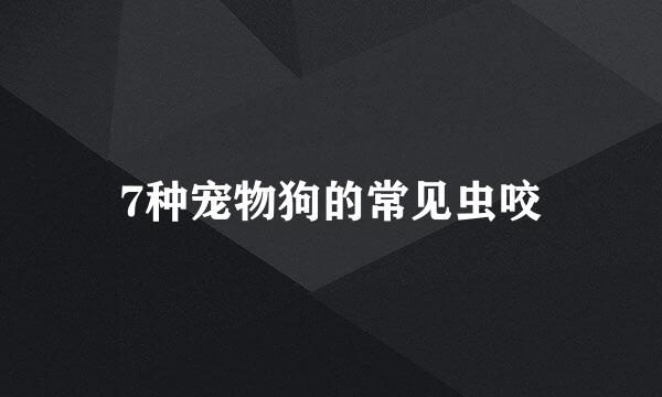 7种宠物狗的常见虫咬