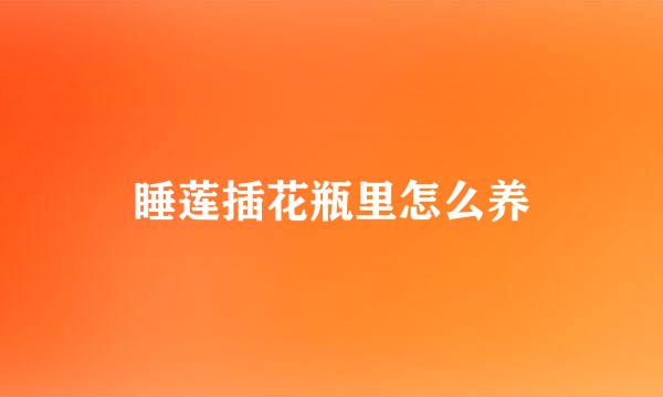 睡莲插花瓶里怎么养