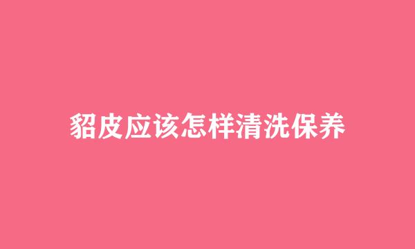 貂皮应该怎样清洗保养