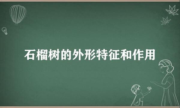 石榴树的外形特征和作用