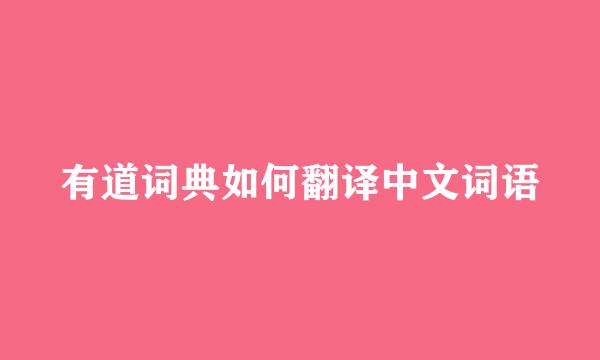 有道词典如何翻译中文词语