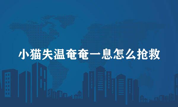 小猫失温奄奄一息怎么抢救
