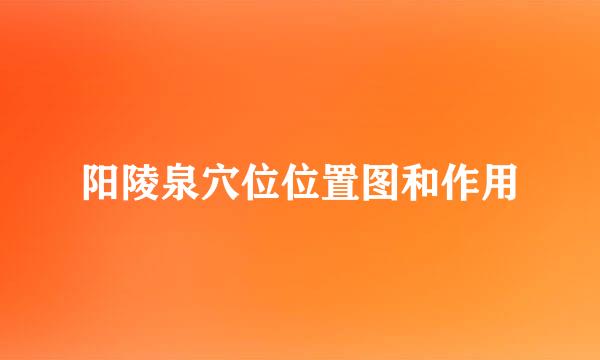 阳陵泉穴位位置图和作用
