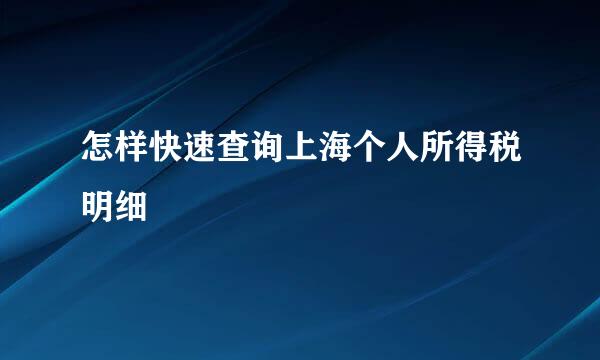 怎样快速查询上海个人所得税明细