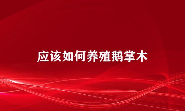 应该如何养殖鹅掌木