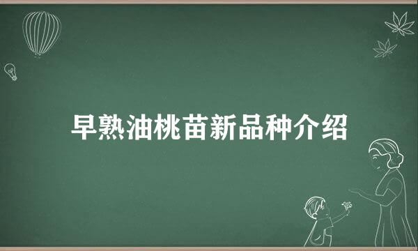 早熟油桃苗新品种介绍