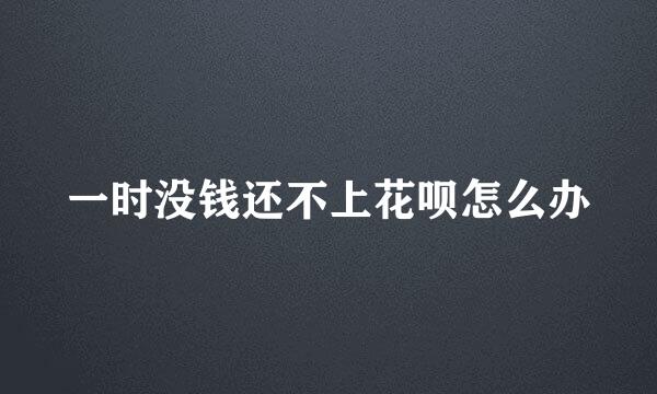 一时没钱还不上花呗怎么办