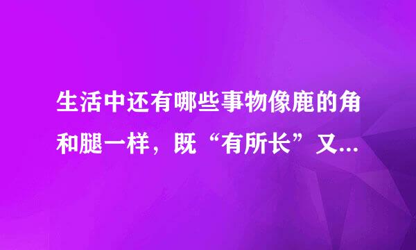 生活中还有哪些事物像鹿的角和腿一样，既“有所长”又“有所短”呢