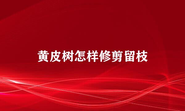 黄皮树怎样修剪留枝