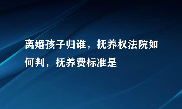 离婚孩子归谁，抚养权法院如何判，抚养费标准是