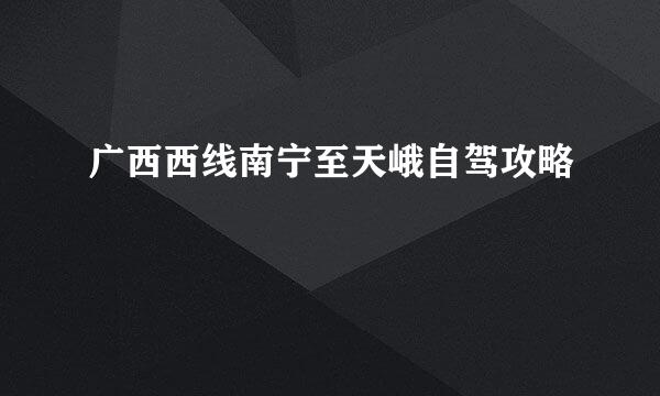 广西西线南宁至天峨自驾攻略