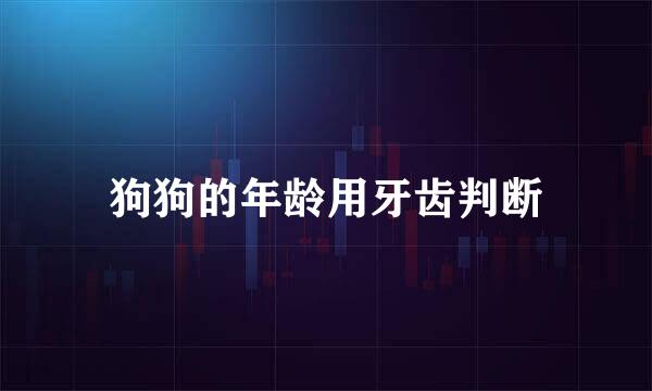 狗狗的年龄用牙齿判断
