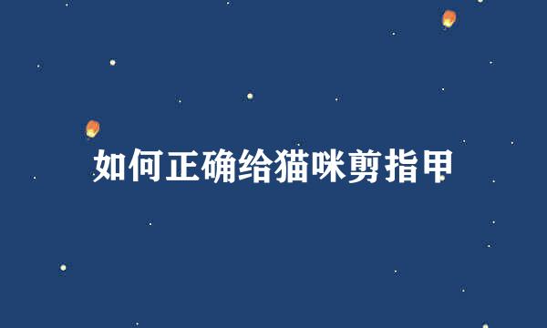 如何正确给猫咪剪指甲