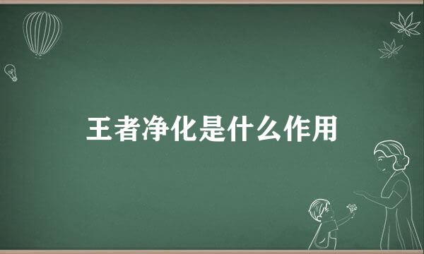 王者净化是什么作用