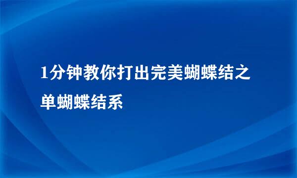 1分钟教你打出完美蝴蝶结之单蝴蝶结系