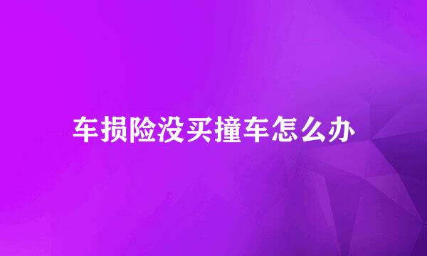 车损险没买撞车怎么办