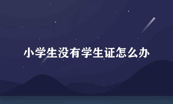 小学生没有学生证怎么办
