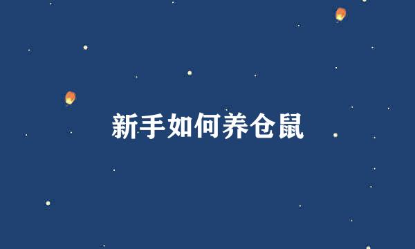 新手如何养仓鼠
